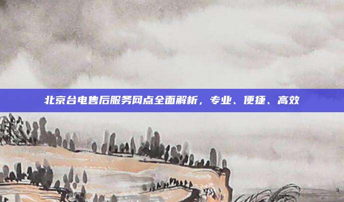 北京台电售后服务网点全面解析,专业、便捷、高效