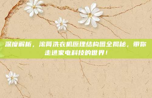 深度解析,滚筒洗衣机原理结构图全揭秘,带你走进家电科技的世界!