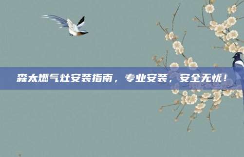 森太燃气灶安装指南,专业安装,安全无忧!