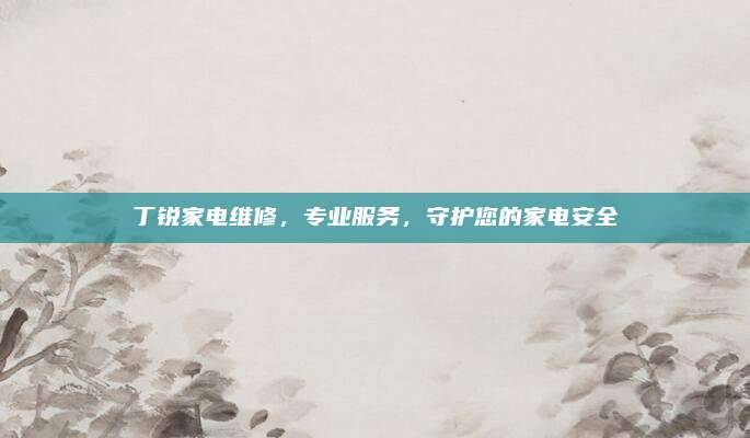 丁锐家电维修,专业服务,守护您的家电安全