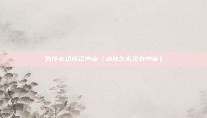 为什么功放没声音（功放怎么没有声音）