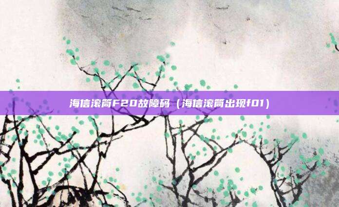 海信滚筒F20故障码(海信滚筒出现f01)