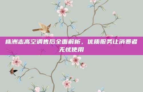 株洲志高空调售后全面解析,优质服务让消费者无忧使用