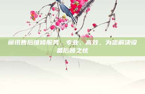 丽讯售后维修服务,专业、高效,为您解决设备后顾之忧