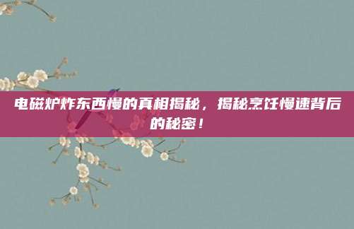 电磁炉炸东西慢的真相揭秘,揭秘烹饪慢速背后的秘密!