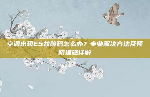 空调出现E5故障码怎么办?专业解决方法及预防措施详解