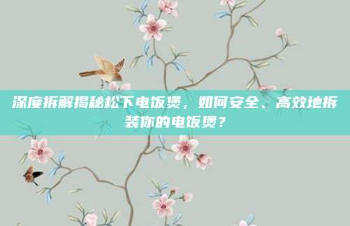 深度拆解揭秘松下电饭煲,如何安全、高效地拆装你的电饭煲?