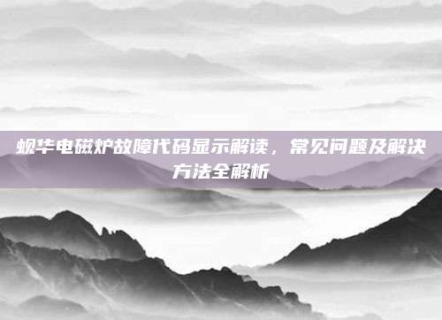 蚬华电磁炉故障代码显示解读,常见问题及解决方法全解析
