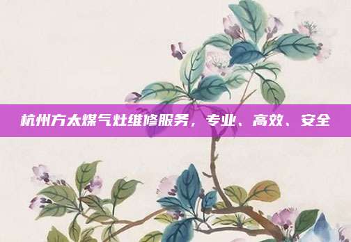 杭州方太煤气灶维修服务,专业、高效、安全