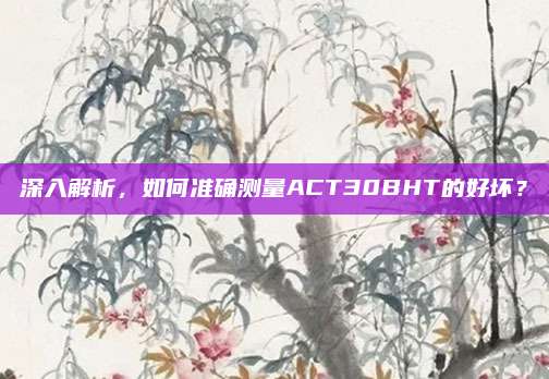 深入解析,如何准确测量ACT30BHT的好坏?