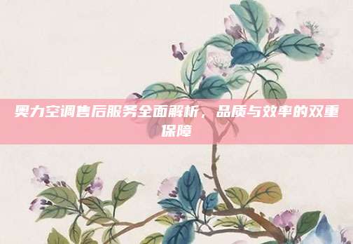 奥力空调售后服务全面解析,品质与效率的双重保障