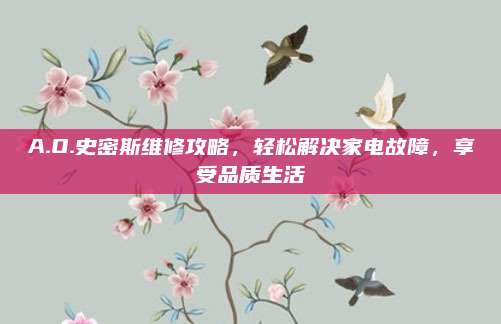 A.O.史密斯维修攻略,轻松解决家电故障,享受品质生活