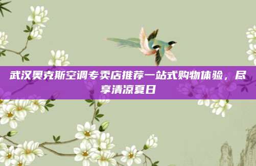 武汉奥克斯空调专卖店推荐一站式购物体验,尽享清凉夏日