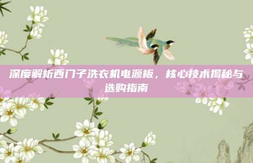 深度解析西门子洗衣机电源板，核心技术揭秘与选购指南