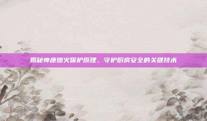 揭秘帅康熄火保护原理,守护厨房安全的关键技术