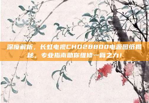 深度解析,长虹电视CHD28800电源图纸揭秘,专业指南助你维修一臂之力!