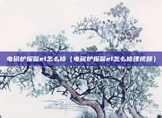 电磁炉报警e1怎么修（电磁炉报警e1怎么修理视频）