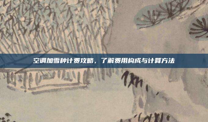 空调加雪种计费攻略,了解费用构成与计算方法