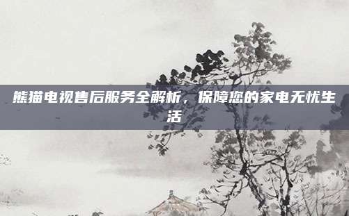 熊猫电视售后服务全解析,保障您的家电无忧生活