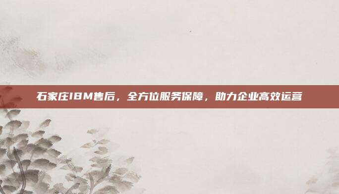 石家庄IBM售后，全方位服务保障，助力企业高效运营