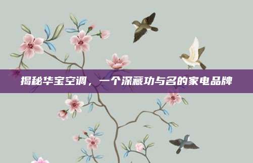 揭秘华宝空调，一个深藏功与名的家电品牌