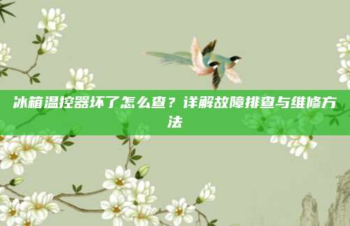 冰箱温控器坏了怎么查?详解故障排查与维修方法