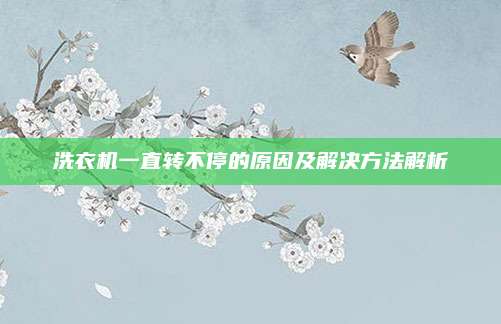 洗衣机一直转不停的原因及解决方法解析
