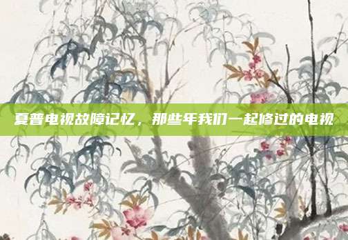 夏普电视故障记忆,那些年我们一起修过的电视
