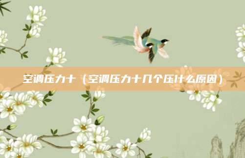 空调压力十（空调压力十几个压什么原因）