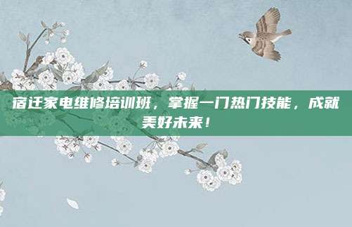 宿迁家电维修培训班,掌握一门热门技能,成就美好未来!