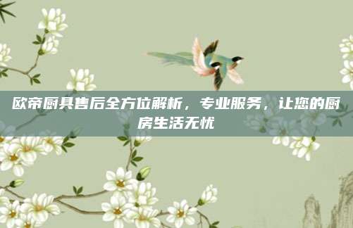 欧帝厨具售后全方位解析,专业服务,让您的厨房生活无忧