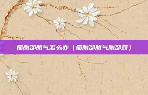 猫腹部胀气怎么办（猫腹部胀气腹部鼓）