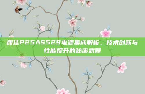 康佳P25AS529电源集成解析,技术创新与性能提升的秘密武器