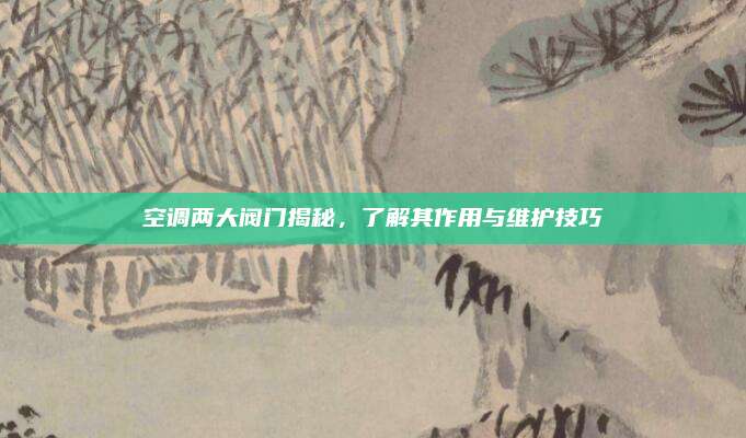 空调两大阀门揭秘,了解其作用与维护技巧