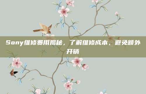 Sony维修费用揭秘,了解维修成本,避免额外开销