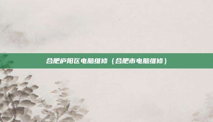 合肥庐阳区电脑维修（合肥市电脑维修）