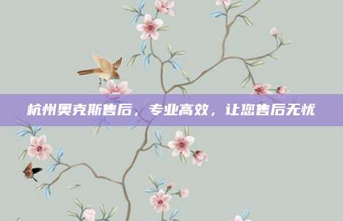 杭州奥克斯售后,专业高效,让您售后无忧