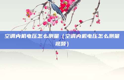 空调内机电压怎么测量（空调内机电压怎么测量视频）
