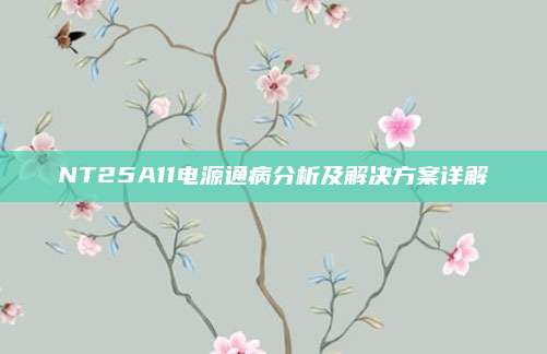 NT25A11电源通病分析及解决方案详解