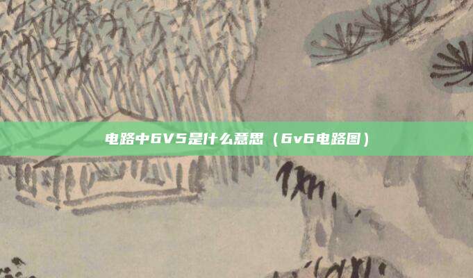 电路中6V5是什么意思（6v6电路图）