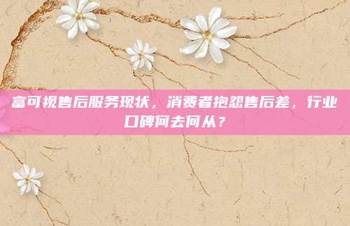 富可视售后服务现状,消费者抱怨售后差,行业口碑何去何从?