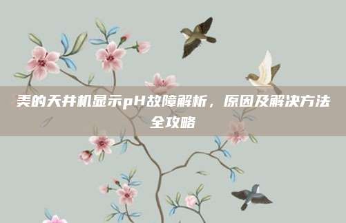 美的天井机显示pH故障解析,原因及解决方法全攻略