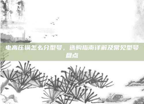 电高压锅怎么分型号,选购指南详解及常见型号盘点