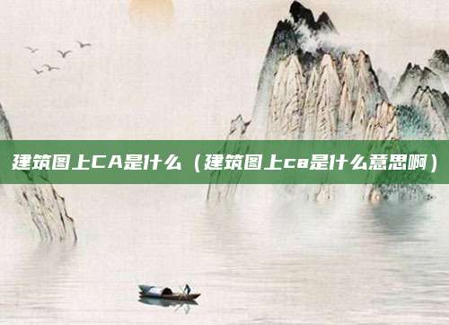 建筑图上CA是什么(建筑图上ca是什么意思啊)