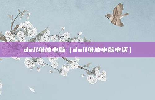 dell维修电脑（dell维修电脑电话）