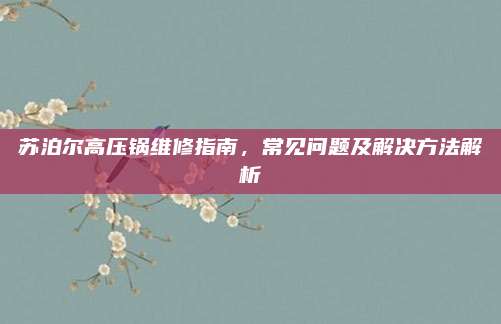 苏泊尔高压锅维修指南,常见问题及解决方法解析