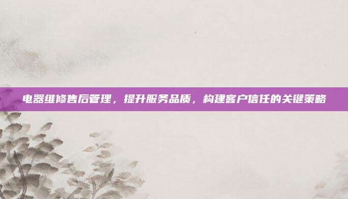 电器维修售后管理,提升服务品质,构建客户信任的关键策略