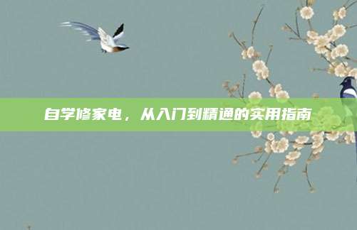 自学修家电,从入门到精通的实用指南