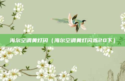 海尔空调黄灯闪(海尔空调黄灯闪烁20下)