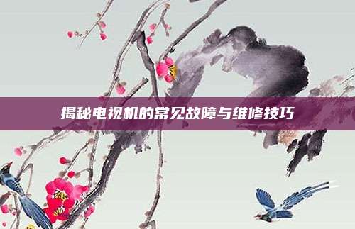 揭秘电视机的常见故障与维修技巧